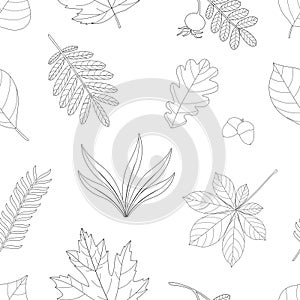 Seamless patternAutumn leaves black and white colors graphics vector illustration